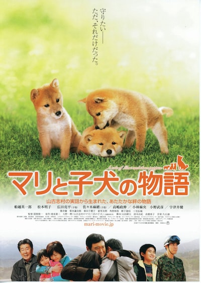 マリと子犬の物語