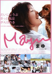 Mayu-ココロの星-