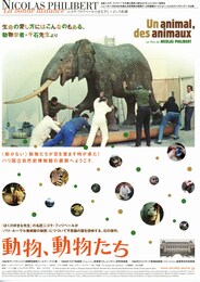 動物、動物たち