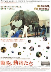 動物、動物たち