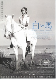 白い馬（1953年）