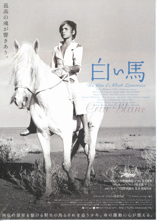 白い馬（1953年） | あらすじ・内容・スタッフ・キャスト・作品情報 
