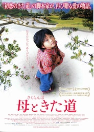 さくらんぼ 母ときた道