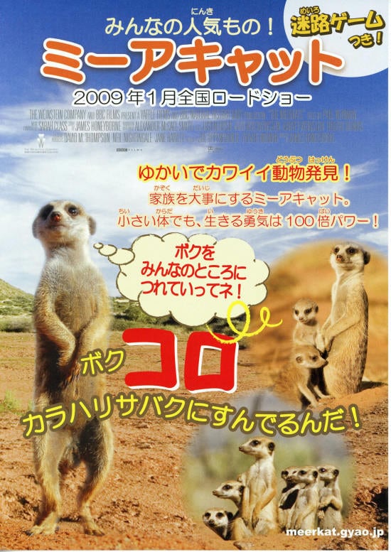 ミーアキャット あらすじ 内容 スタッフ キャスト 作品情報 映画ナタリー ミーアキャット あらすじ 内容 スタッフ キャスト 作品情報 映画ナタリー