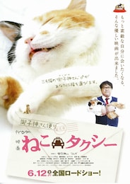ねこタクシー