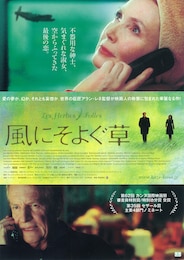 風にそよぐ草