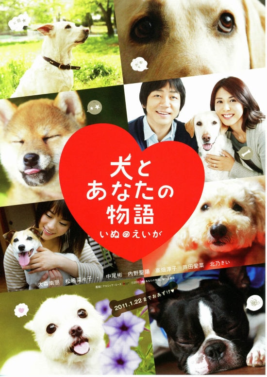 犬とあなたの物語 いぬのえいが あらすじ 内容 スタッフ キャスト 作品情報 映画ナタリー 犬とあなたの物語 いぬのえいが あらすじ 内容 スタッフ キャスト 作品情報 映画ナタリー