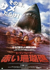 赤い珊瑚礁 オープン・ウォーター