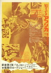 知られざるアフリカ