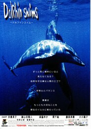 ドルフィンスイム