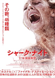 シャーク・ナイト