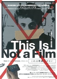 これは映画ではない
