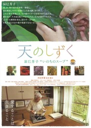 天のしずく 辰巳芳子“いのちのスープ”