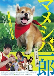 マメシバ一郎 フーテンの芝二郎