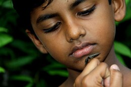 チョンジュ・プロジェクト2012