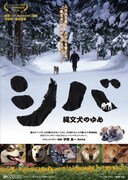 シバ 縄文犬のゆめ