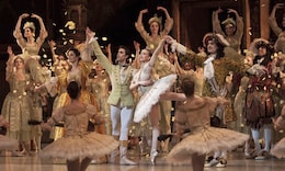 《パリ・オペラ座へようこそ／ライブビューイング シーズン2 2013～2014／『眠れる森の美女』》