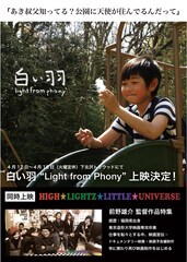 白い羽 “Light from Phony“