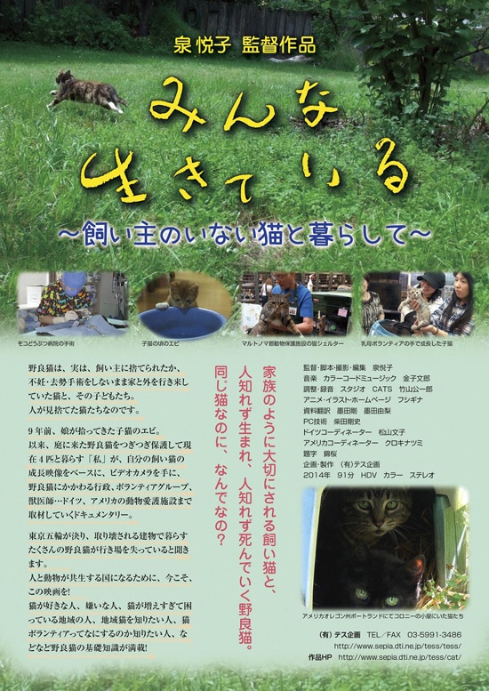 みんな生きている 飼い主のいない猫と暮らして あらすじ 内容 スタッフ キャスト 作品情報 映画ナタリー