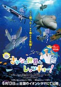 さかなクン研究所 さかなの世界へレッツギョー！ 飛ぶ！闘う！踊る！編