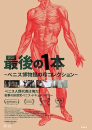 最後の1本～ペニス博物館の珍コレクション～