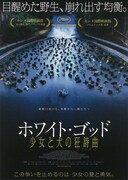 ホワイト・ゴッド 少女と犬の狂詩曲（ラプソディ）