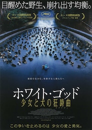 ホワイト・ゴッド 少女と犬の狂詩曲（ラプソディ）