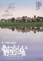 あたらしい野生の地-リワイルディング