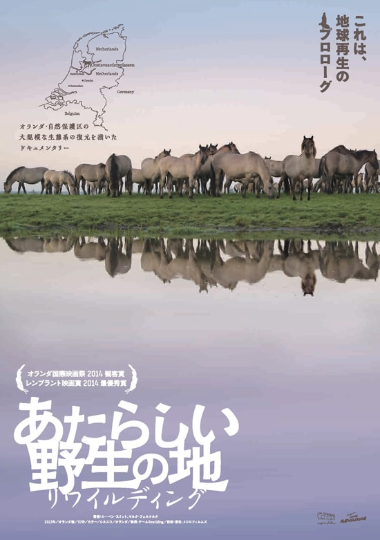 あたらしい野生の地-リワイルディング