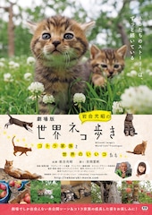 劇場版 岩合光昭の世界ネコ歩き コトラ家族と世界のいいコたち