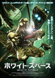 ホワイト・スペース