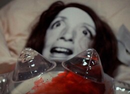 プライベート・パーツ（1972年）