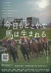 今日もどこかで馬は生まれる