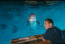 グラン・ブルー（オリジナル版 ―デジタル・レストア・バージョン―）