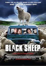 ブラックシープ