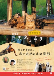 劇場版 岩合光昭の世界ネコ歩き あるがままに、水と大地のネコ家族