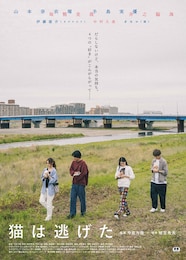 猫は逃げた