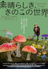 素晴らしき、きのこの世界
