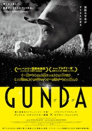 GUNDA／グンダ