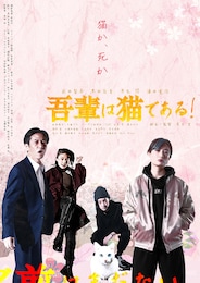 吾輩は猫である！