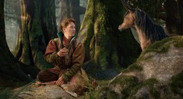 マジック・ロード 空飛ぶ仔馬と天空の花嫁