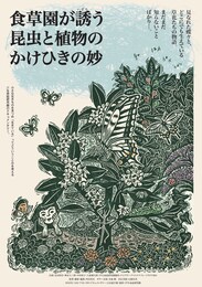 食草園が誘う昆虫と植物のかけひきの妙