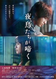 夜、鳥たちが啼く