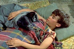 黒い牡牛（レストア版）