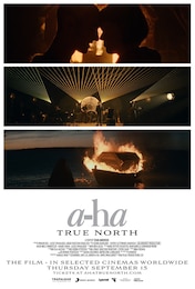 トゥルー・ノース