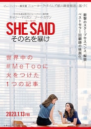 SHE SAID／シー・セッド その名を暴け