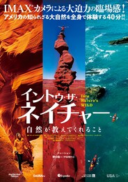 イントゥ・ザ・ネイチャー 自然が教えてくれること 自然が教えてくれること