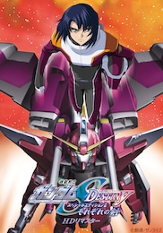 機動戦士ガンダム SEED DESTINY スペシャルエディション それぞれの剣（HDリマスター版）