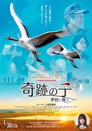 奇跡の子 夢野に舞う