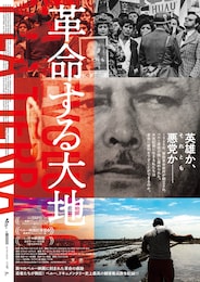 革命する大地